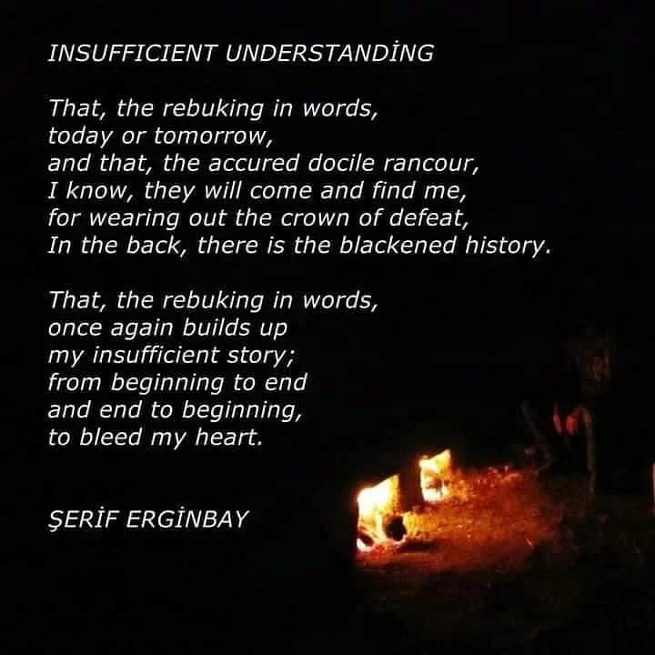 serif_erginbay's tweet photo. #turkishpoetry #turkishpoem #poetry #poem #poet #poems #poets #poetsofig #erdemkışına #adbircicektir #darkopru #erginbay #seriferginbay https://t.co/EiHKjC1LyX