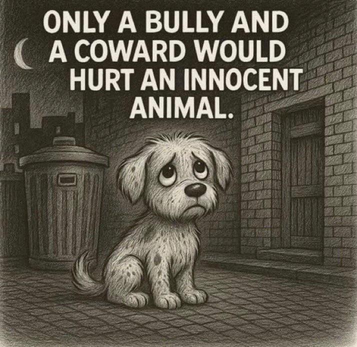 Protect_Wldlife's tweet image. RT if you agree….

There is NO excuse for #AnimalAbuse EVER!! 🚫