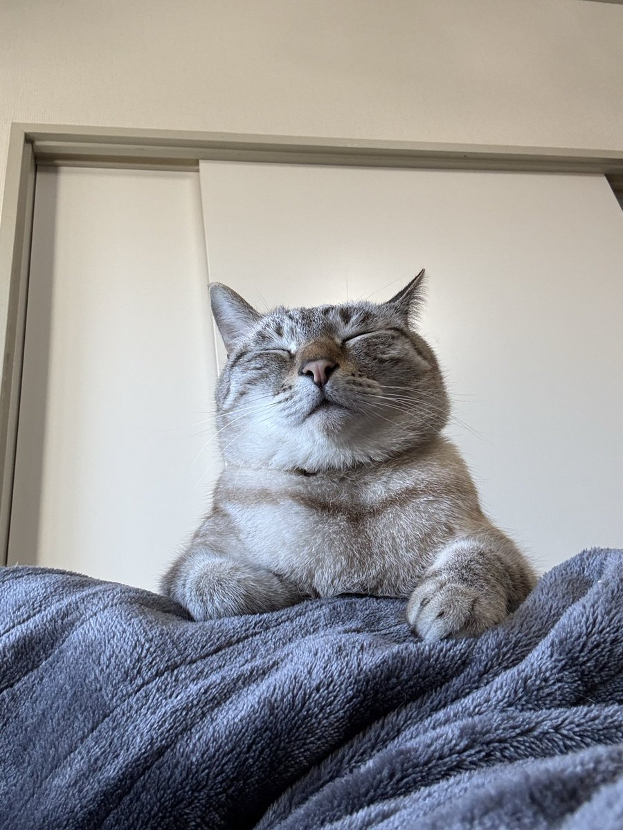 ふくンツ (@fukuruneko0718) / Posts / X