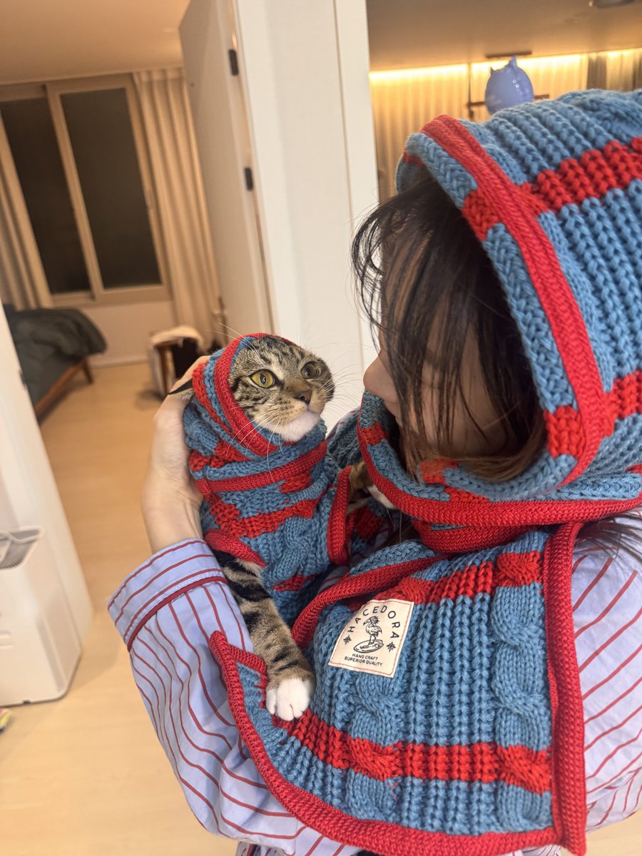 _Datstar_'s tweet image. 옷은 잘 입지만,
모자 씌우면 눈으로 욕하는 고양이😾😾