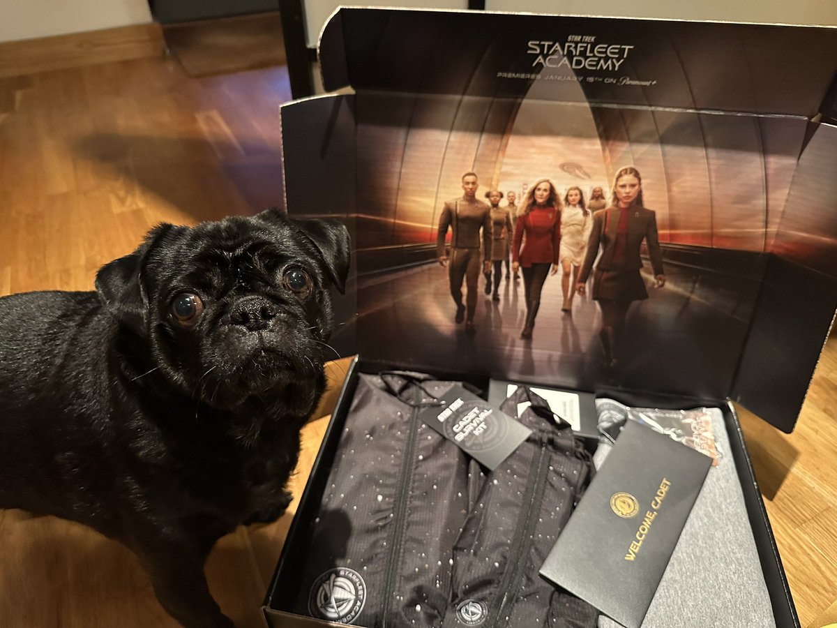 darren_scott's tweet photo. Cadet Oscar of the pug delegation is reporting for duty at #StarfleetAcademy 🖖
Thanks for the cadet survival kit @paramountplus.
New #StarTrek series Starfleet Academy is out now!
#paramountpluspartner https://t.co/nXInEZSCxP