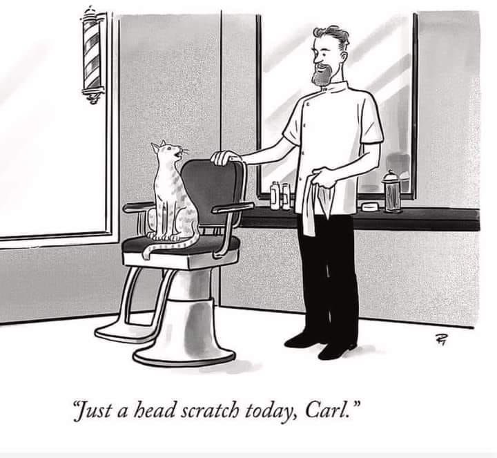 PowerfulAuraX's tweet image. 