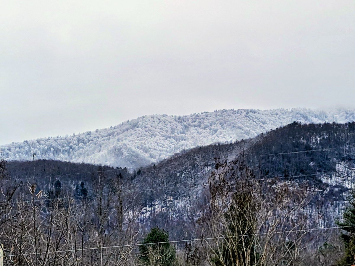 Mike's Weather Page tweet media