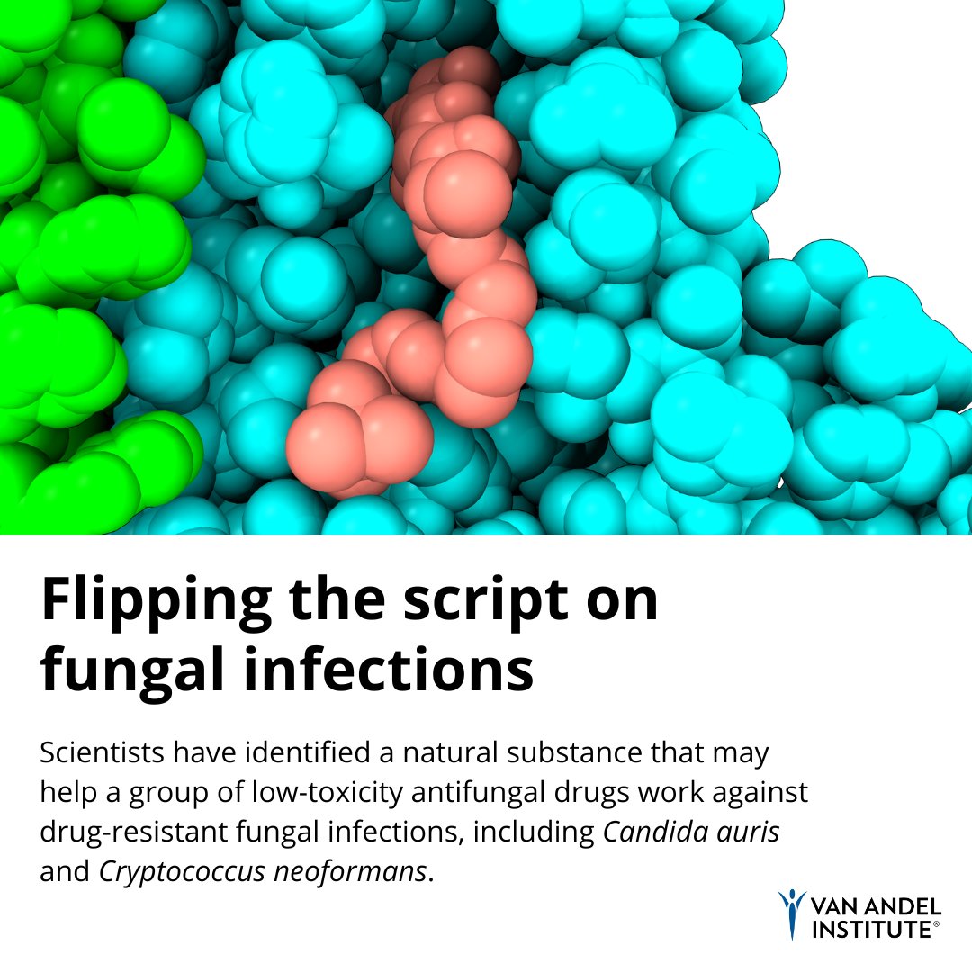 Van Andel Institute (VAI) tweet media