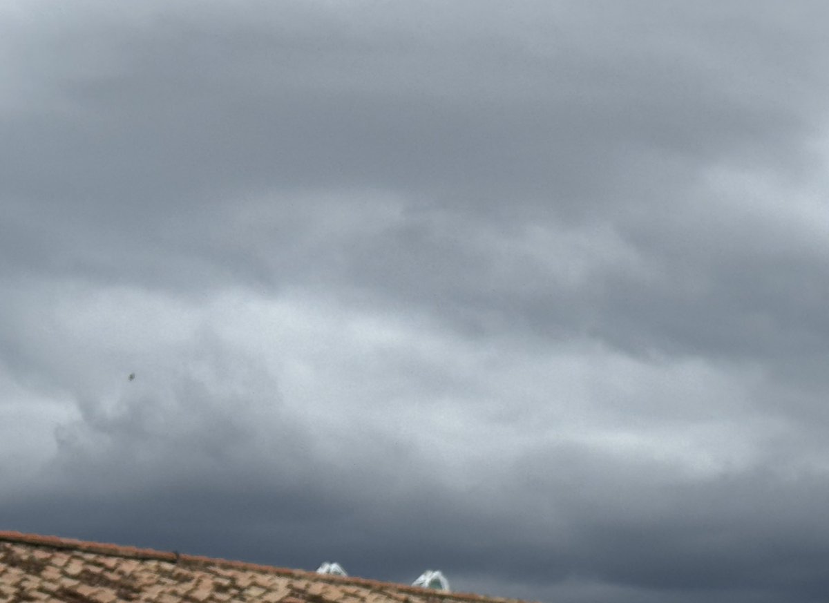 AsVoGra Protección Civil tweet media