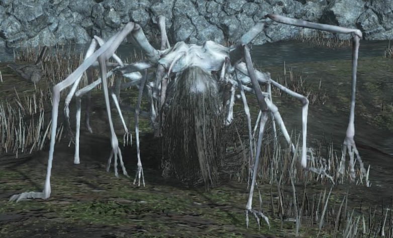 jayjayjayjay tweet media