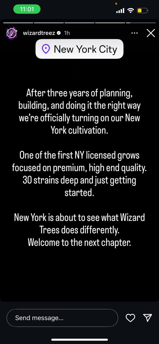 izzy 😮💨 tweet media