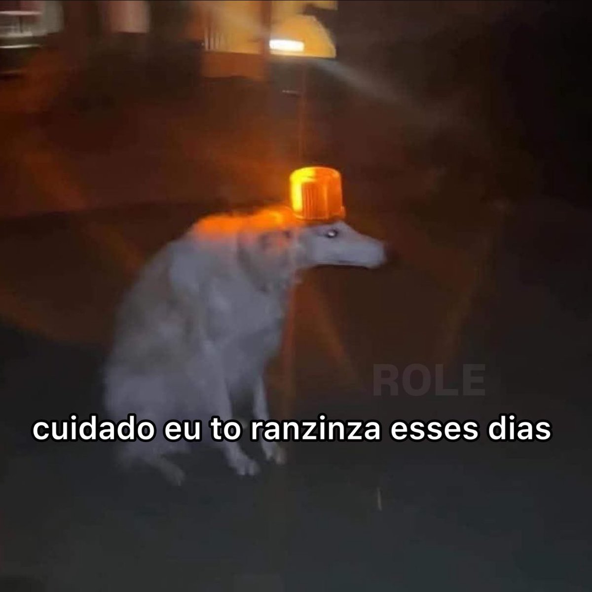 rolealeatorio's tweet image. 