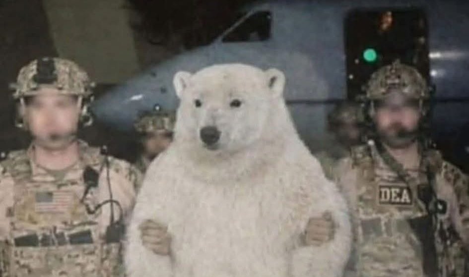 Le président du Groenland a été arrêté 😂😂😂