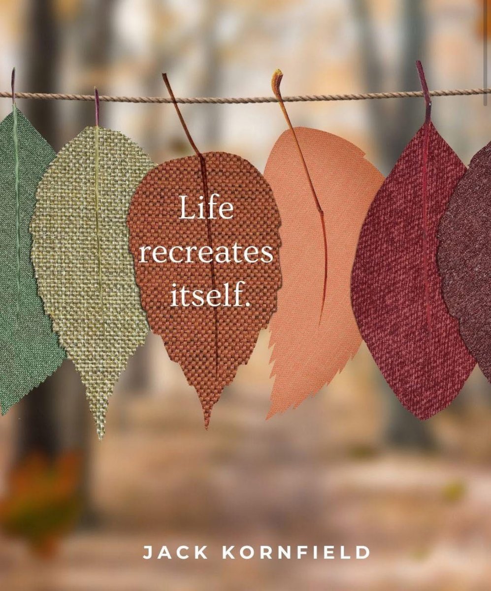 JackKornfield's tweet photo. One of the beautiful things about life is that it is constantly recreating itself. When you look clearly at the seasons of nature, or the vast cycles of the cosmos, what you see is a constant sense of renewal. 

☀️🍂❄️🌷

#renewal #impermanence #jackkornfield #nature https://t.co/fUIY7H6tPU