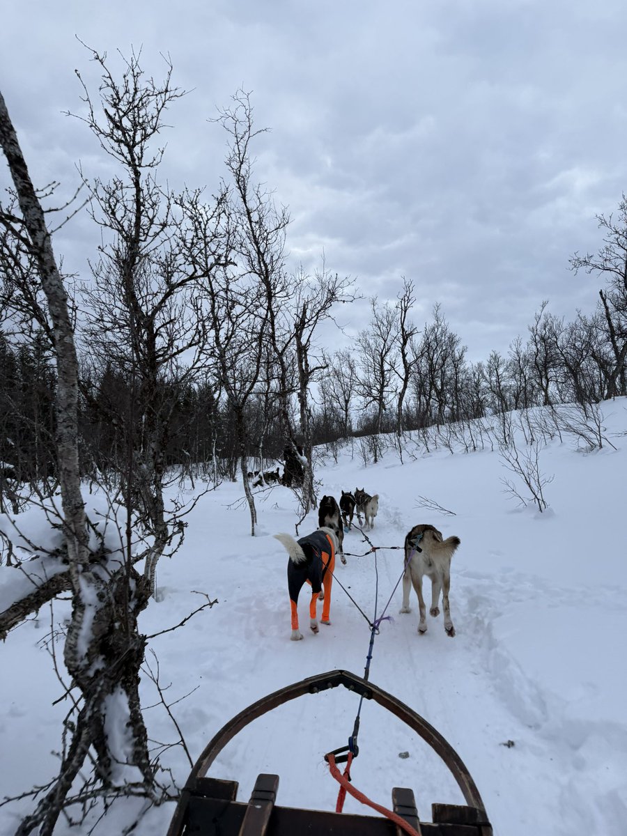 CuleAW's tweet image. Straight out of a movie 

Till next time Tromsø 🇳🇴 ❄️