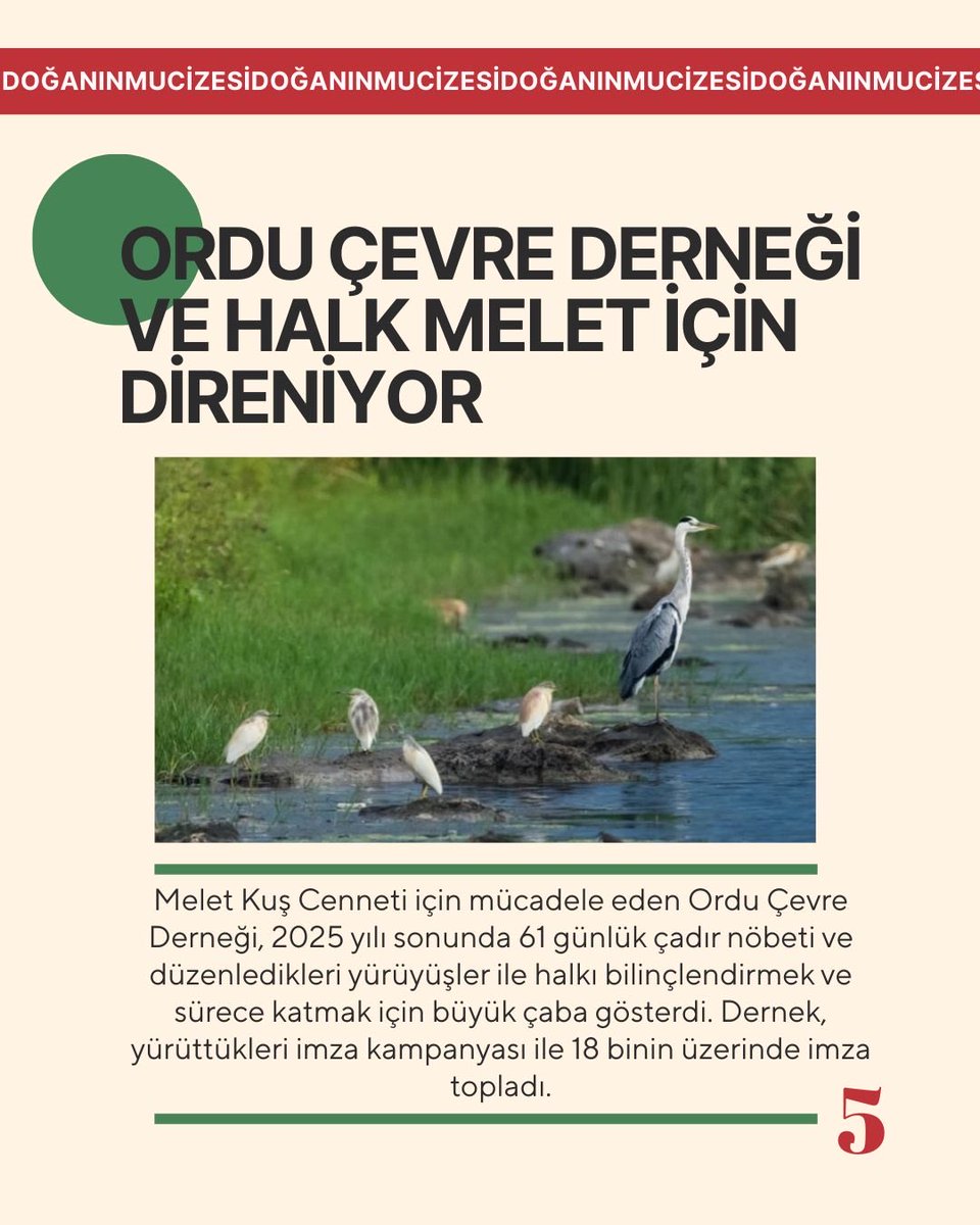 Biz Yurttaşlar tweet media