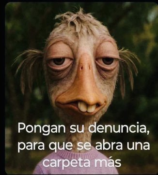 <a href="/Melissa_Bely/">Melissa Ⓜ️</a> <a href="/AztecaNoticias/">Fuerza Informativa Azteca</a>