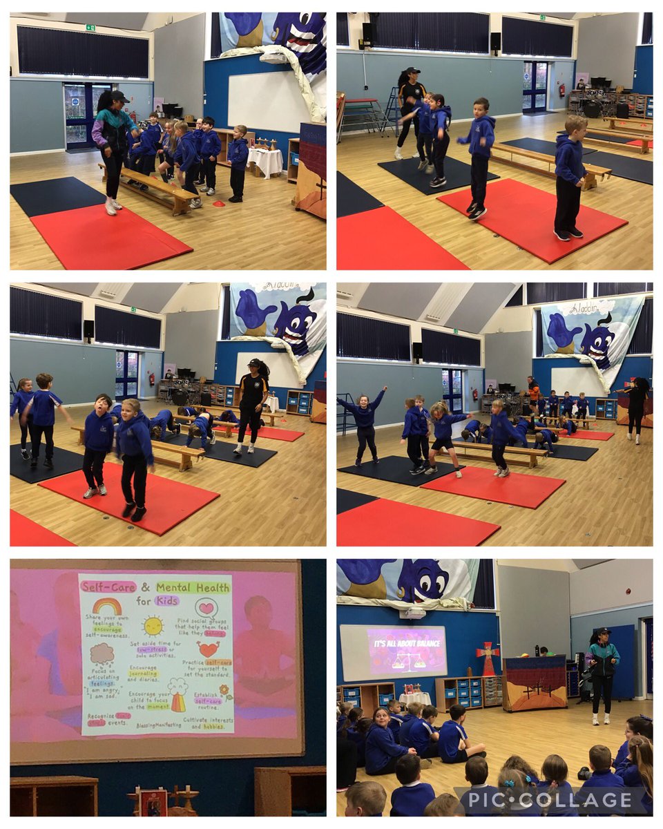 WhitegateBirch tweet media