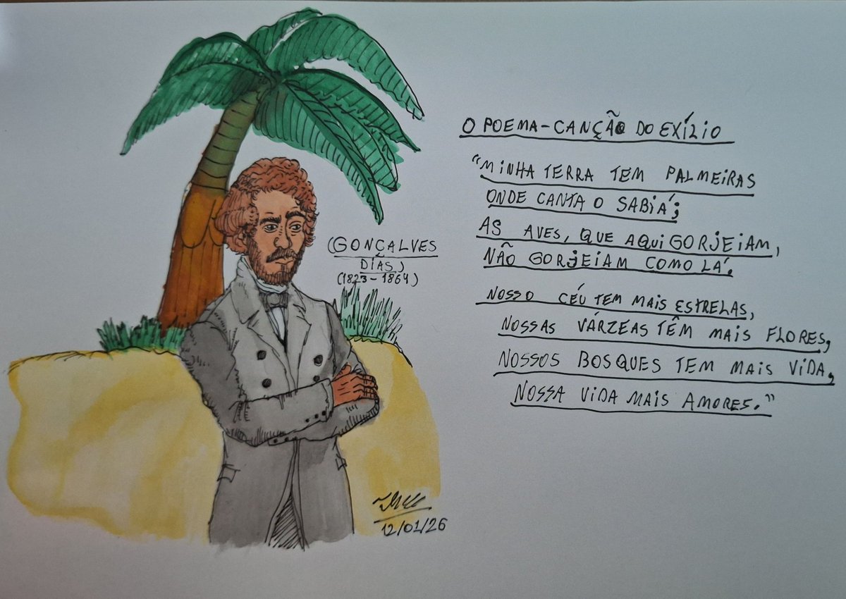 🥝O Kiwi Selvagem da Zelândia 🥝 tweet media