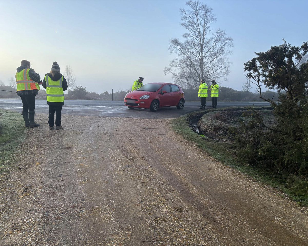 The New Forest - Forestry England tweet media