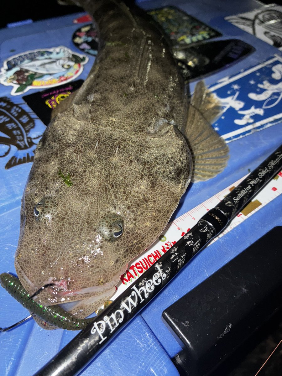 狙い通りのコースで喰ってきた👍 サイズ関係なく超気持ちー!!!!!! ⁡ お