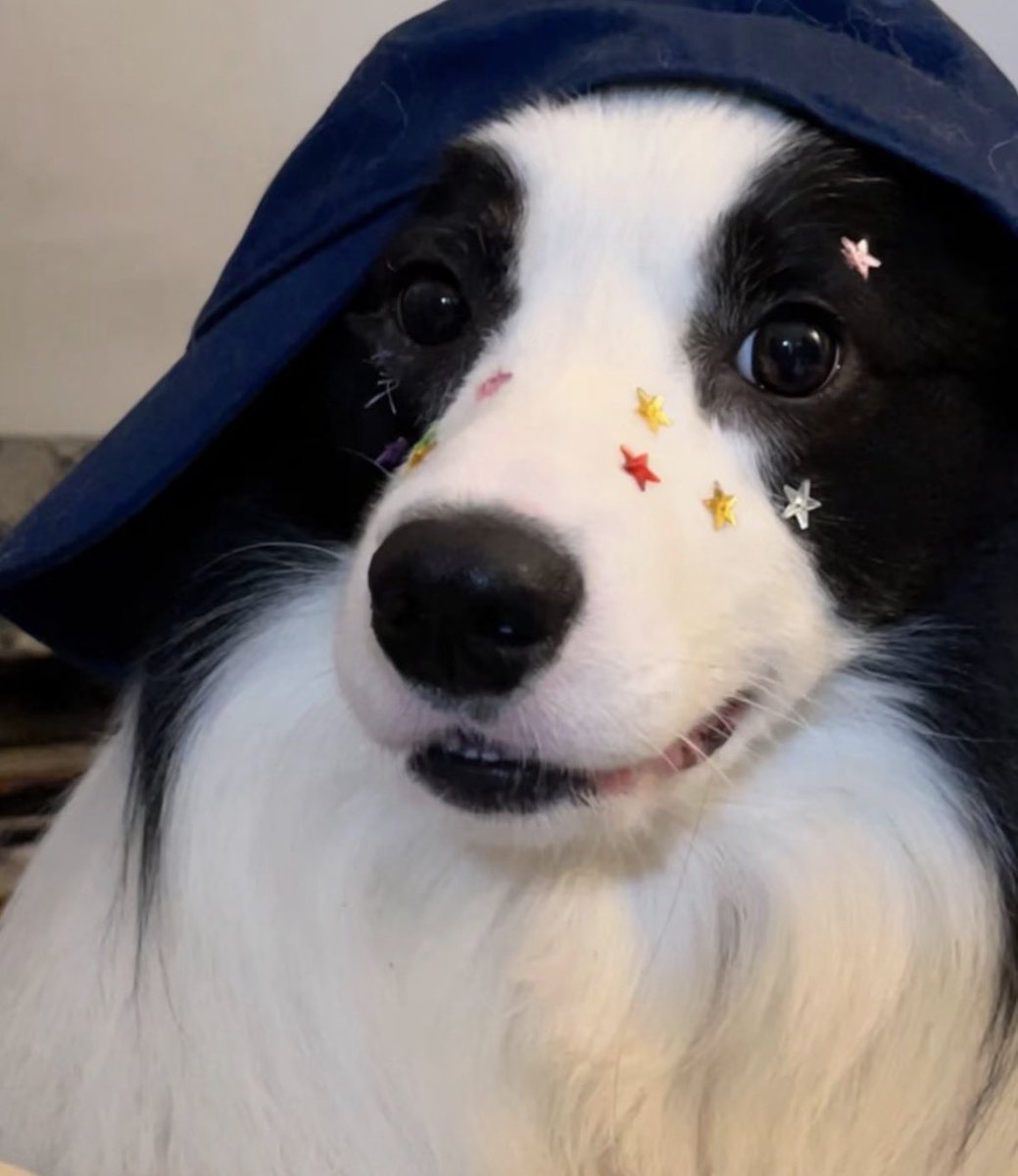 twaniimals's tweet image. 