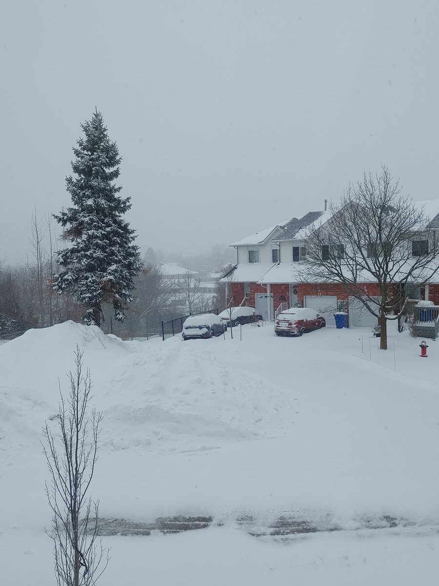 Puighen's tweet photo. @CP24 This is outside here in Newmarket. The snow mountain at the end of our Court is so high, it is making it very difficult to get out of our driveways! https://t.co/jxyszcPBDa