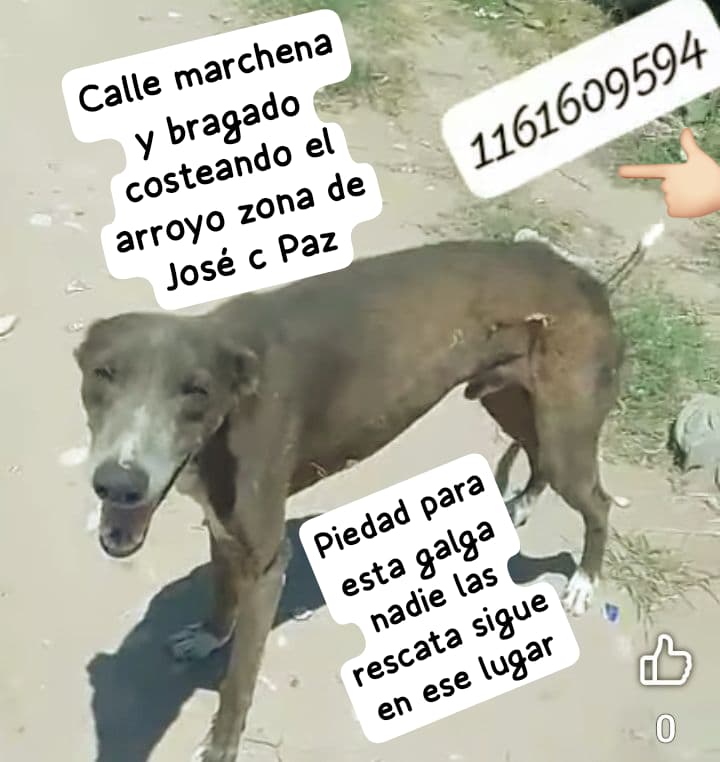 Rt
Ayuda urgente