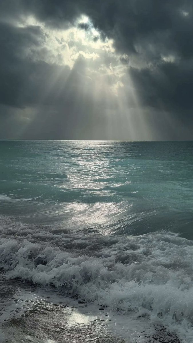 محال tweet media