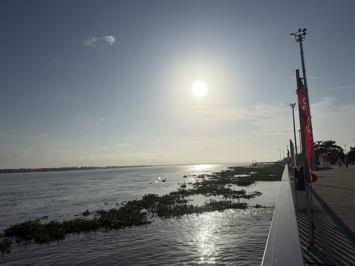 📍 Barranquilla ☀️🇮🇩🦁👊