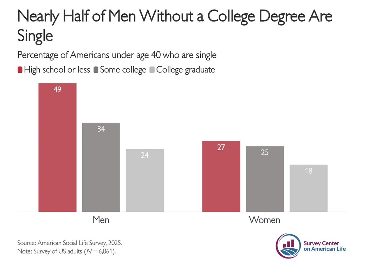 amersurveyctr's tweet image. America is in a dating decline, but it's not affecting everyone equally. Men without college degrees are particularly struggling to find partners.