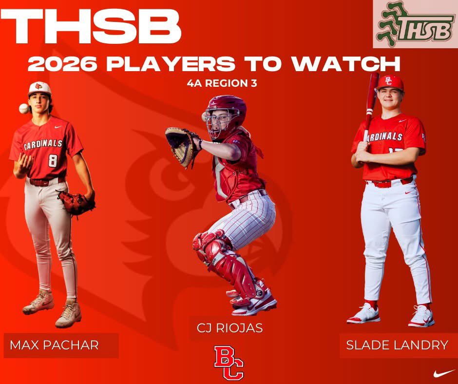 BridgeCityBaseball tweet media