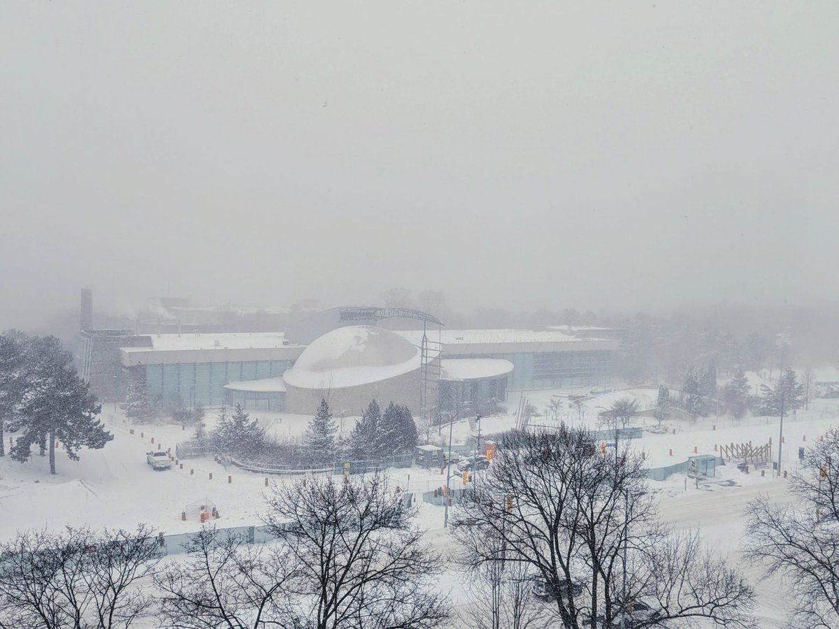 SaveOSC's tweet image. As beautiful as ever.