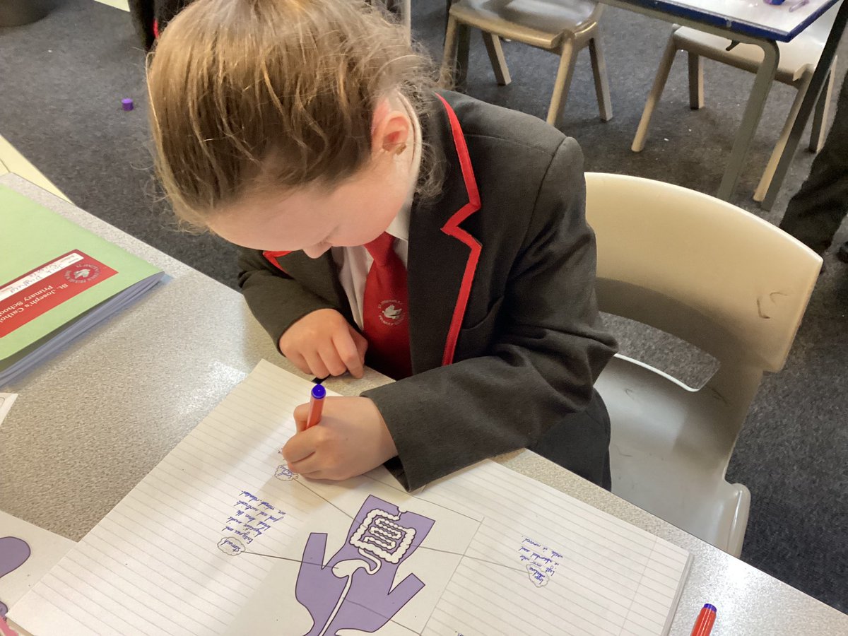 St Joseph's Catholic Primary School tweet media