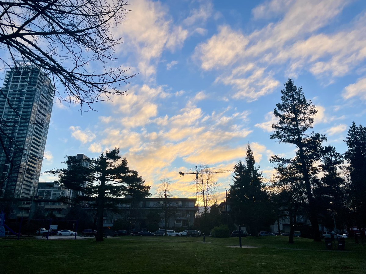 芦田🇨🇦マイルストーンカナダ留学エージェント代表 (@MilestoneSyrup) / Posts / X