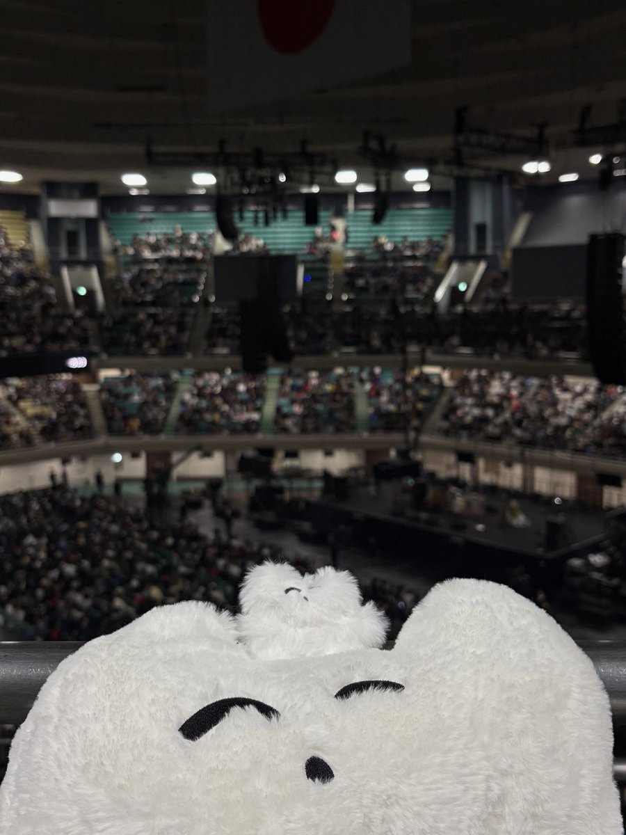 カネコアヤノちゃんの踊るようにギターを弾く姿が好き