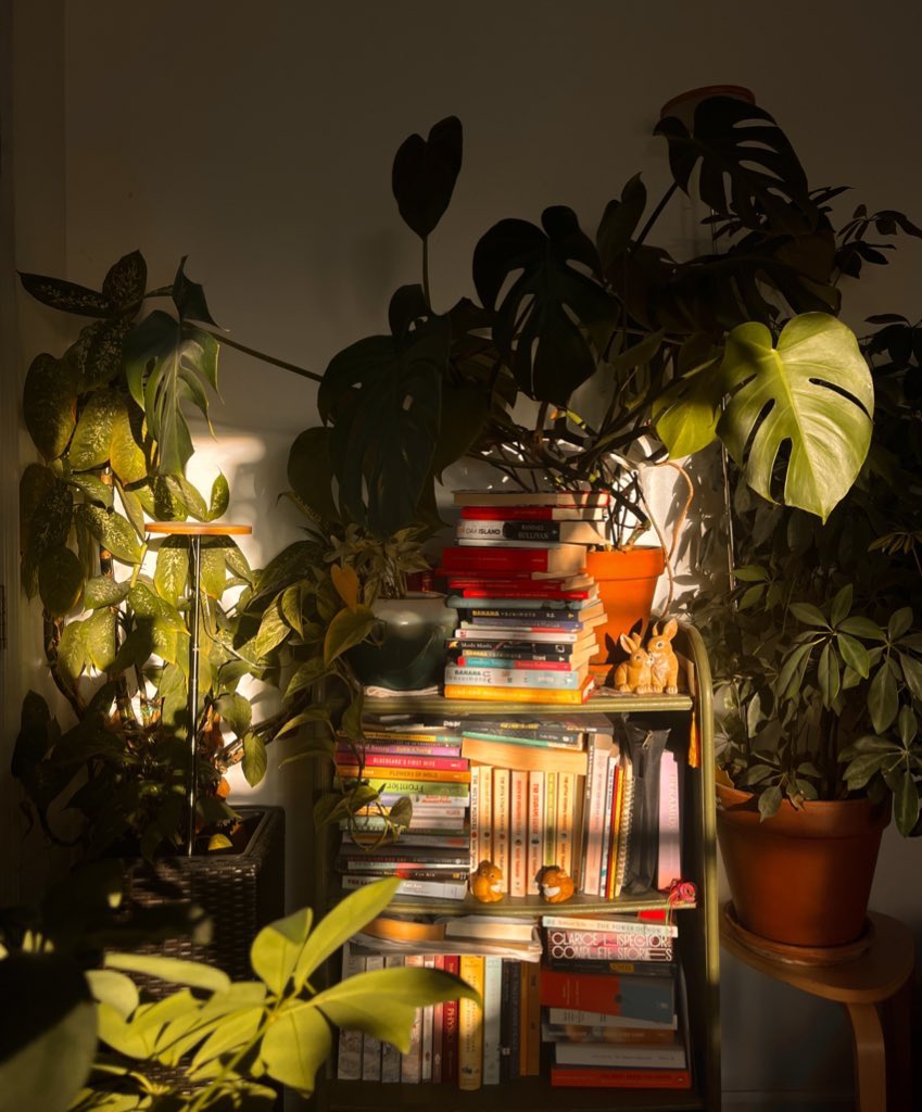 living in a tiny space just means the sun can reach every corner