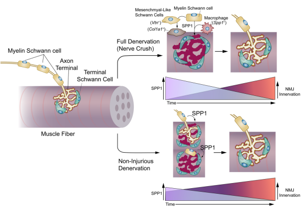 Dan Michele tweet media