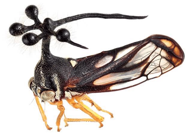 commandgundam's tweet image. 