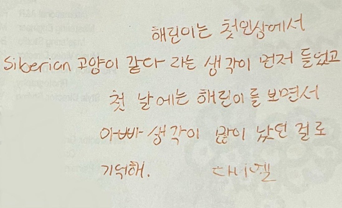 나진심이걸못들은게한이다
첫줄은ㅇㅇㅋ이해돼
근데 그다음줄이 너무 궁금해 왜일까 겉모습은 엄하다고 생각했는데 너무 다정따뜻해서..?  아니면 간장국수 묵묵히 먹어주는 담담함이 닮아서?