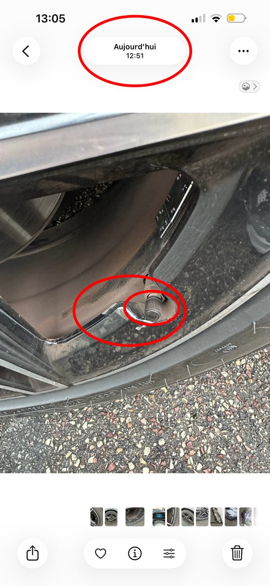 𝘈𝘭𝘦𝘹𝘢𝘯𝘥𝘳𝘦 tweet media