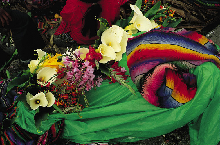 Ann_Aurore's tweet image. Flower market in Chichicastenango, Guatemala
Thomas Hoepker