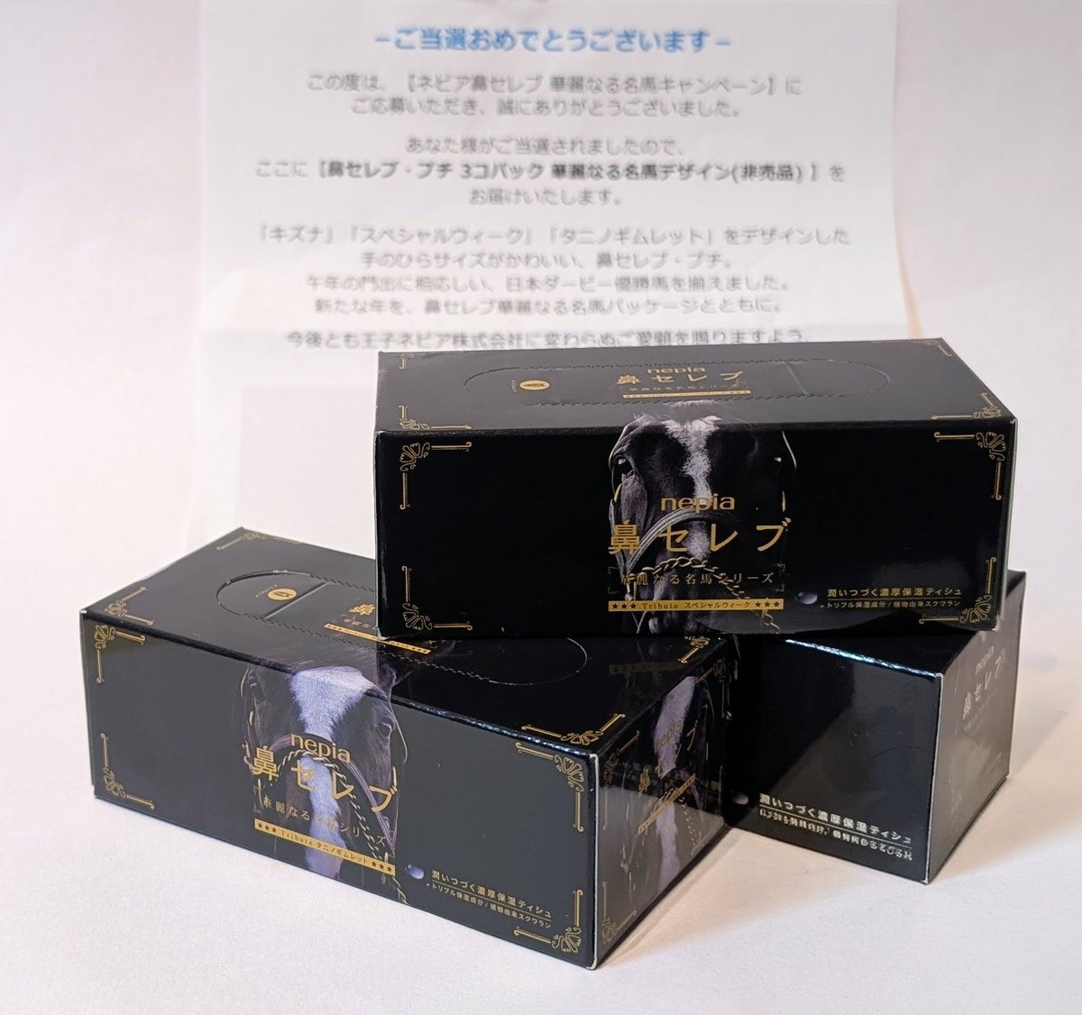 鼻セレブ プチ 華麗なる名馬デザイン 想定以上のご注文を…心よりお詫び