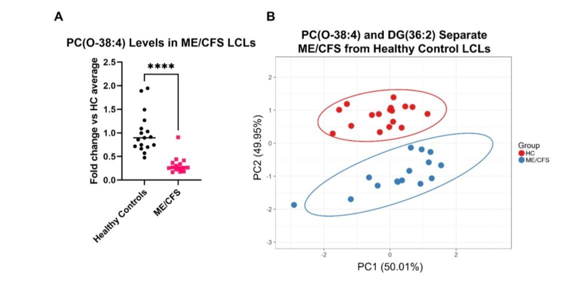 Jack | amatica health tweet media