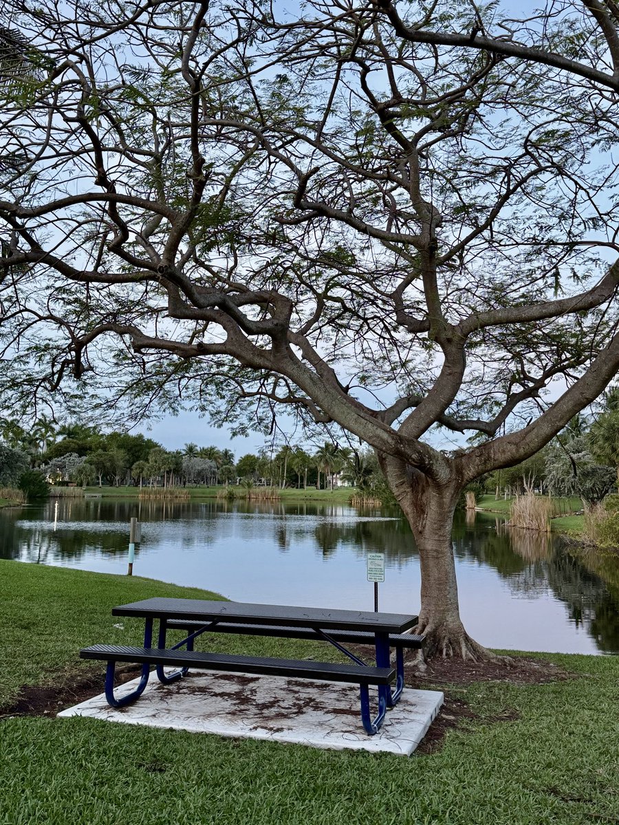 gilberto lopes tweet media