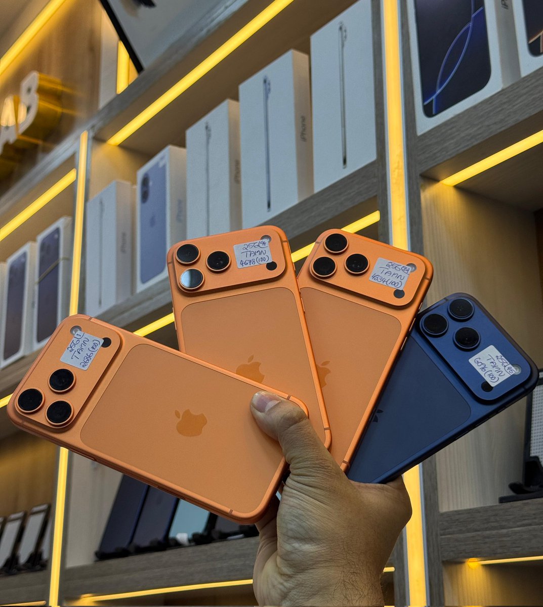 𝙉 𝙜 𝙤 𝙣 𝙞 𝙙 𝙯 𝙖 𝙨 𝙝 𝙚 tweet media