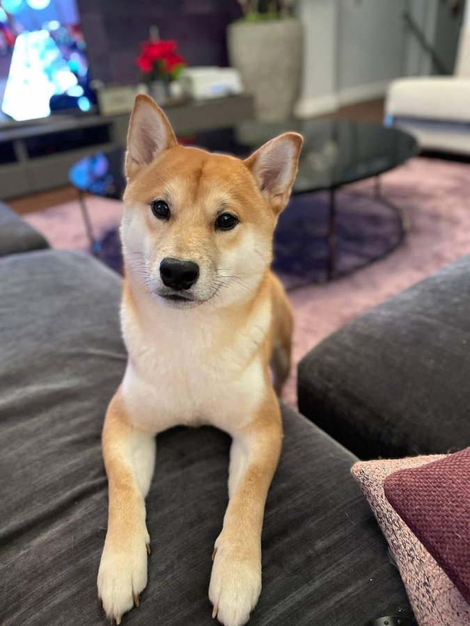 Axiome Türkiye tweet media