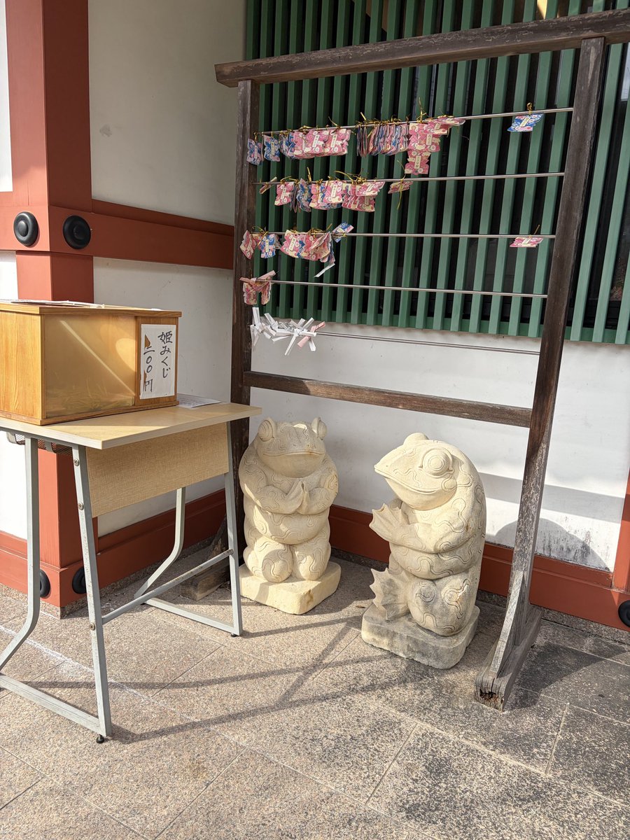 早朝5時。描いたのは、祈りを捧げるカエルさん。🐸✨週末に出会った神社のカエルがモチーフです。スクラッチでつくった鮮やかな背景の中で、パワフルに手を合わせる姿に今の自分を重ねて。
明日からはまた、天使と太陽の物語に戻ります😴🌙 #制作日記 #カエル  #絵描きさんと繋がりたい #朝活 #博多