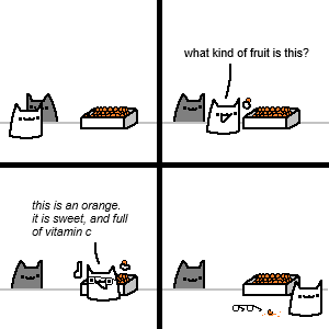 nutti  tweet media