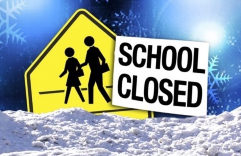 Troy City Schools tweet media