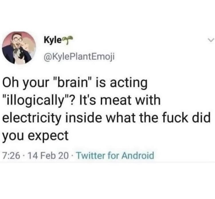 Philosophy memes 🥀 (@philosophymeme0) on Twitter photo 