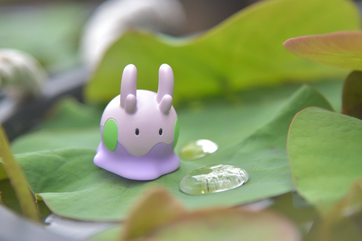 カオルぴ📷 pokephotographer tweet media