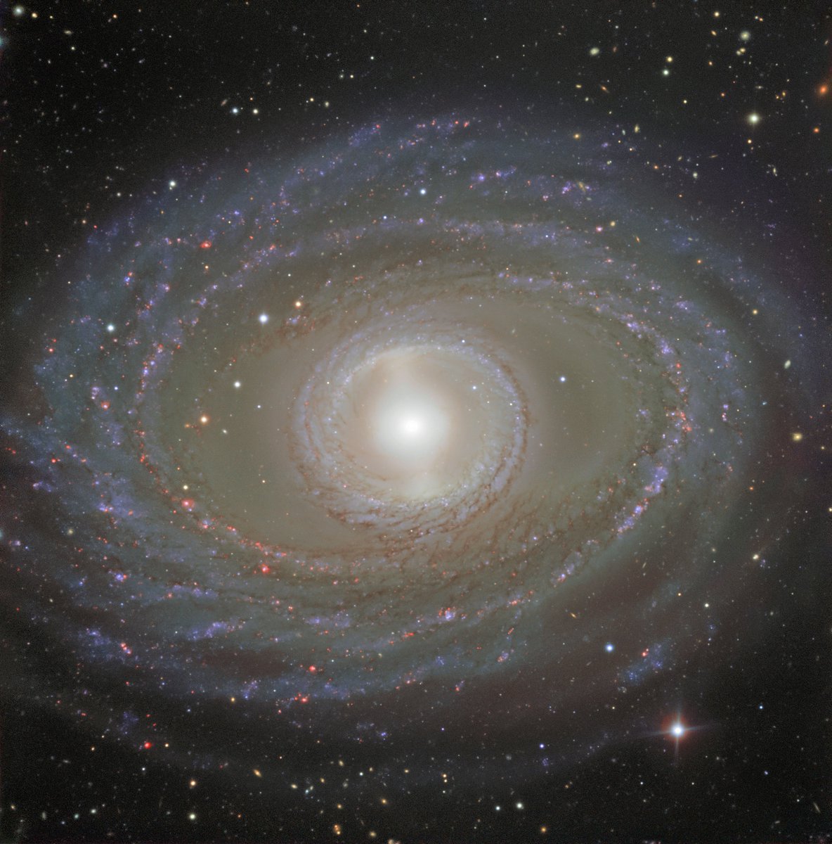 El grupo de NGC 1395 está compuesto por 31 galaxias de las que casi una veintena están a nuestro alcance. Este grupo tiene una disposición muy alargada en profundidad respecto a nosotros

📷 La galaxia NGC 1398. (ESO)

📕 Revista N.º 319 (Enero 2026)
Sección: El firmamento en 3D