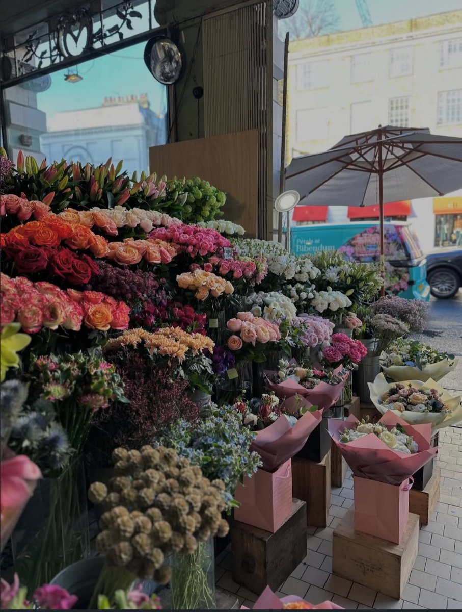 1leio's tweet image. 